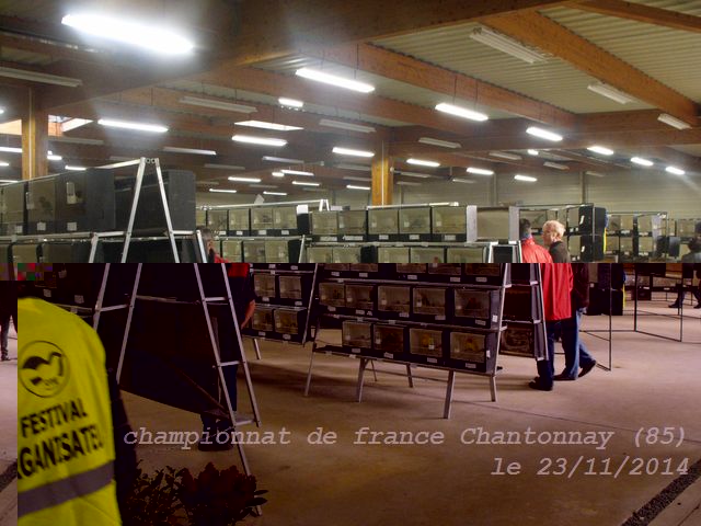 DSCF0917.jpg