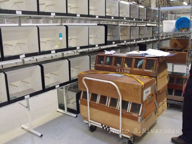 DSCF1132.jpg