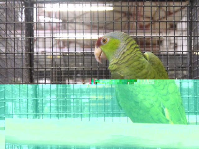 DSCF0994.jpg