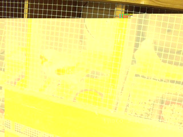 DSCF1234.jpg