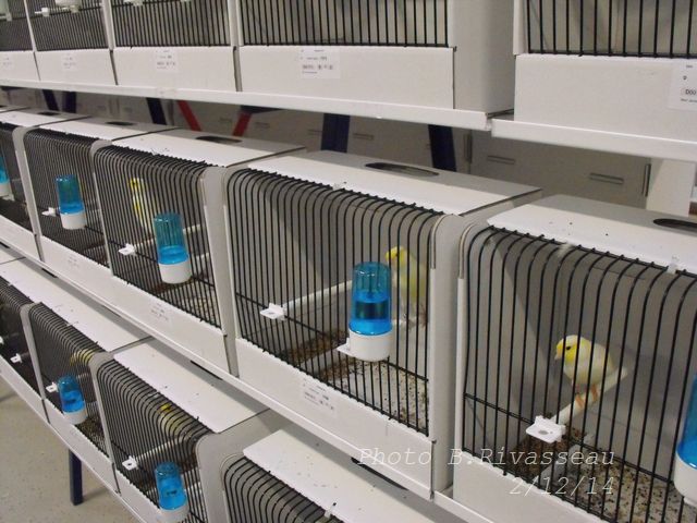 DSCF1257.jpg