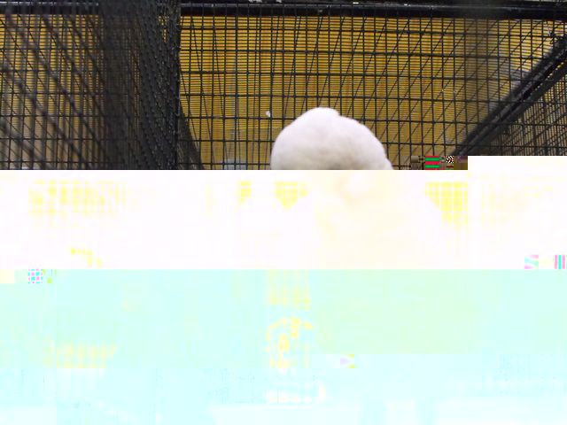 DSCF1157.jpg