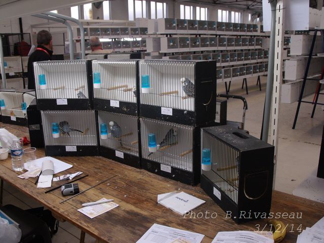 DSCF1277.jpg