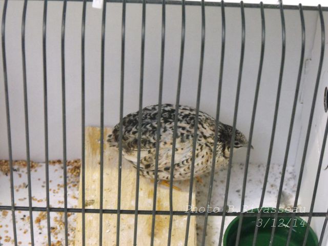 DSCF1073.jpg