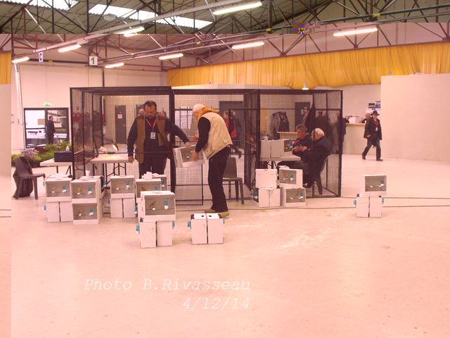 DSCF1399.jpg