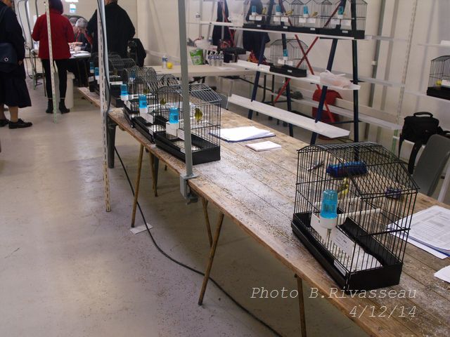 DSCF1403.jpg