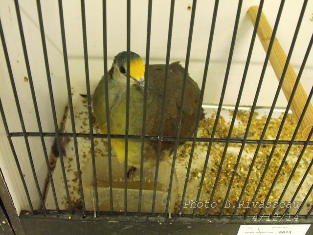 DSCF1349.jpg