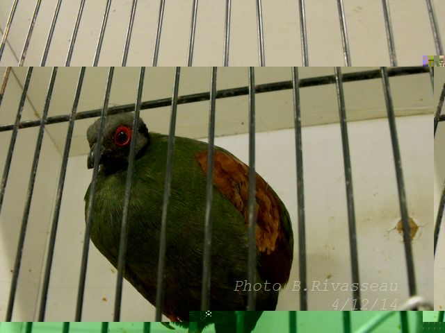 DSCF1344.jpg