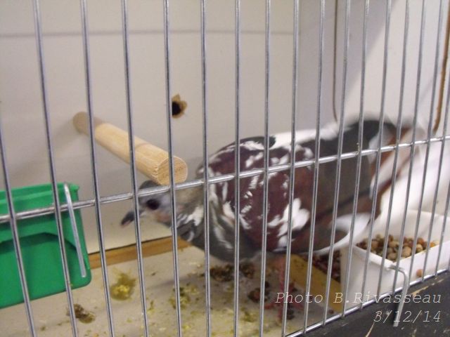 DSCF1253.jpg