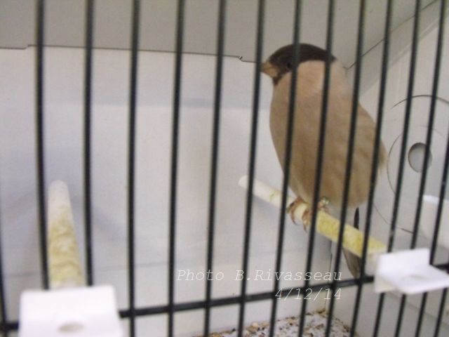 DSCF1414.jpg