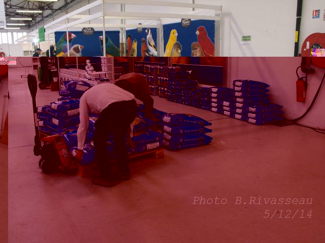 DSCF1523.jpg