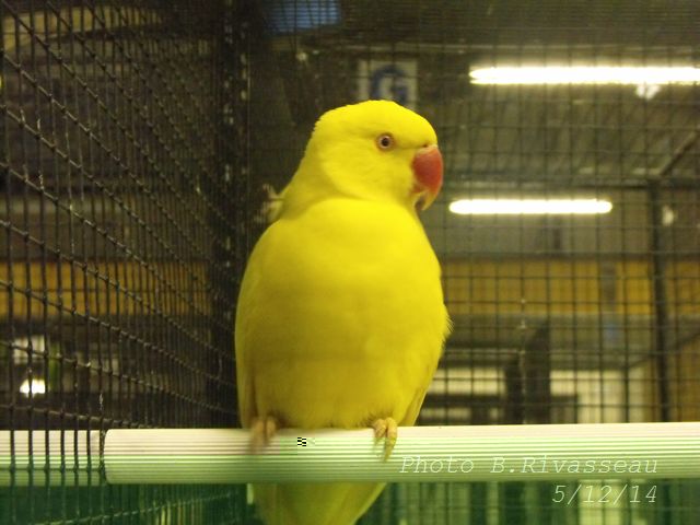 DSCF1268.jpg