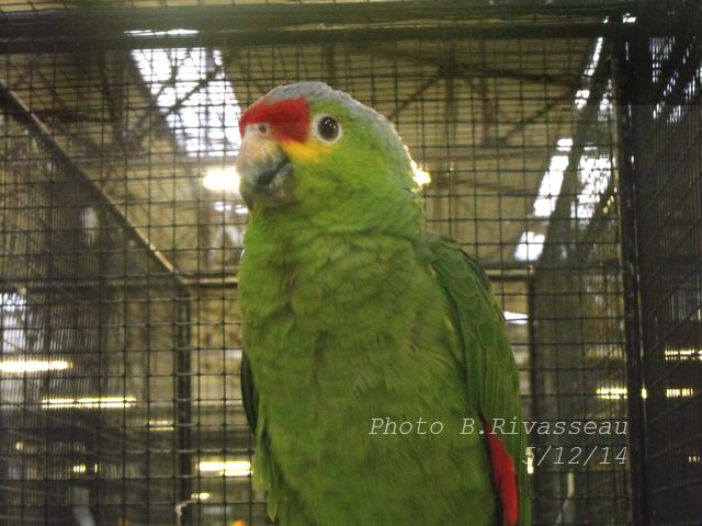 DSCF1501.jpg