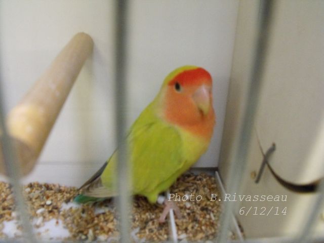 DSCF1326.jpg