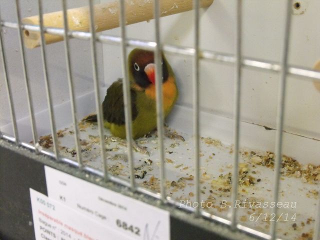 DSCF1556.jpg