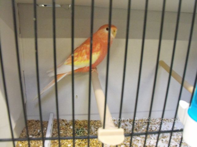 DSCF1592.jpg