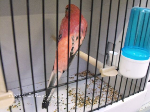 DSCF1594.jpg