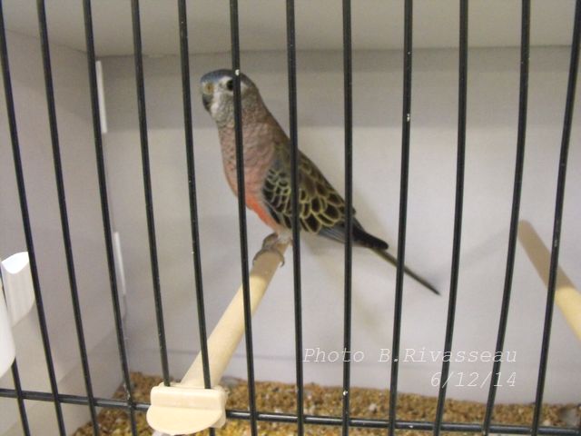 DSCF1595.jpg