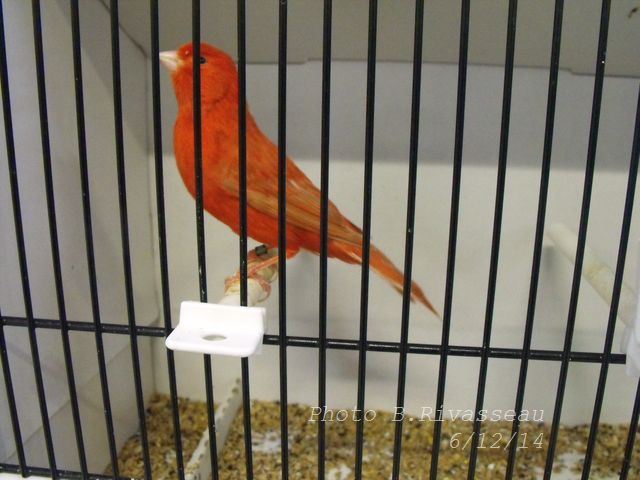 DSCF1601.jpg