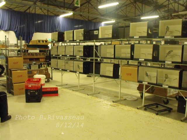 DSCF1622.jpg
