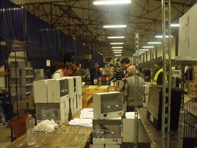 DSCF1623.jpg