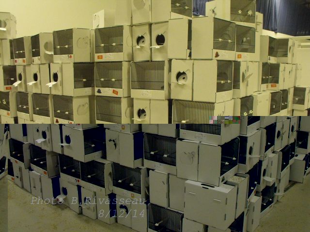 DSCF1625.jpg