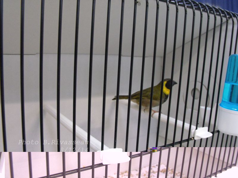 DSCF1200.jpg