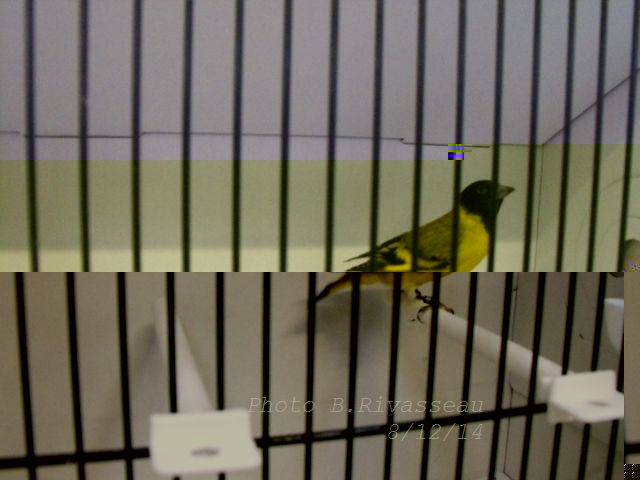 DSCF1203.jpg