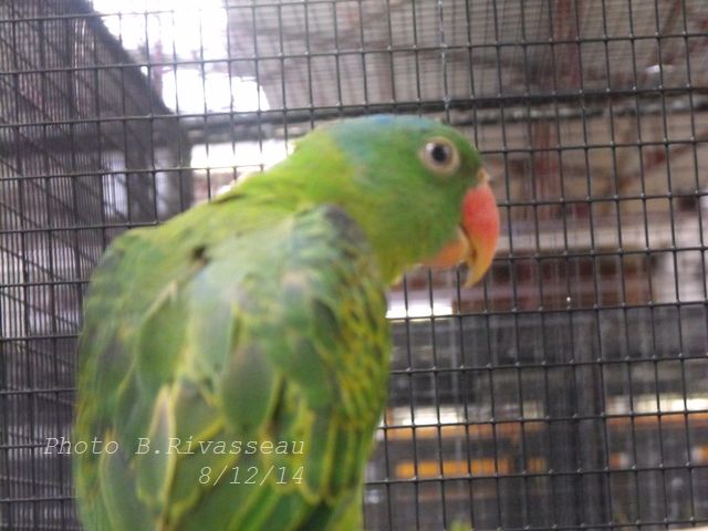 DSCF0995.jpg
