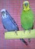 WP_20150322125748_023.jpg