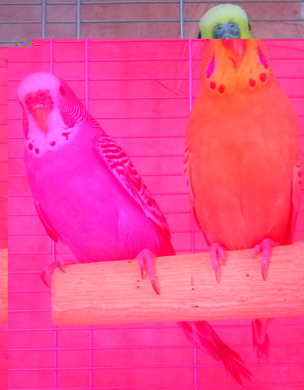 WP_201503226_023.jpg