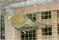 tp gris-vert3.jpg