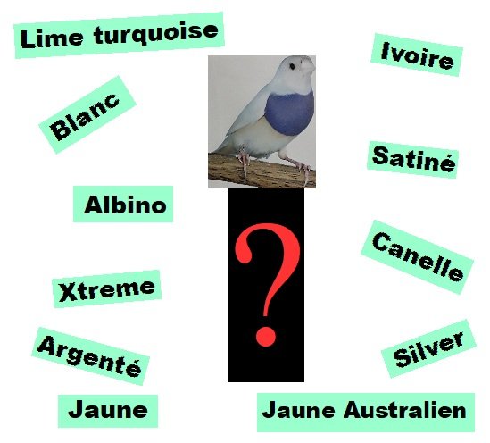 Le Bourbier  infâme des appelations.jpg