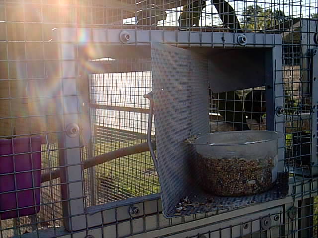 mangeoir 3.JPG
