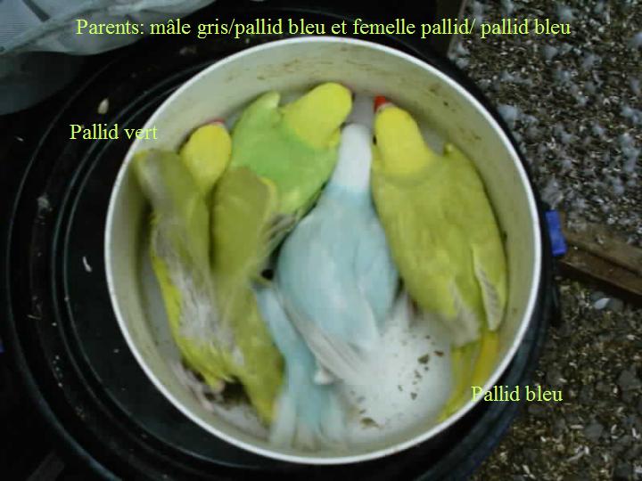 jeune couple 3.jpg