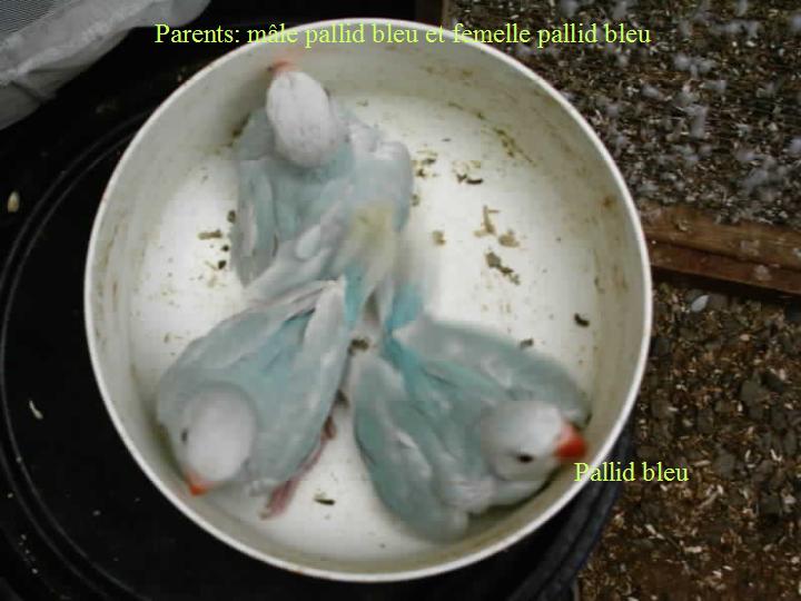 jeune couple 4.jpg