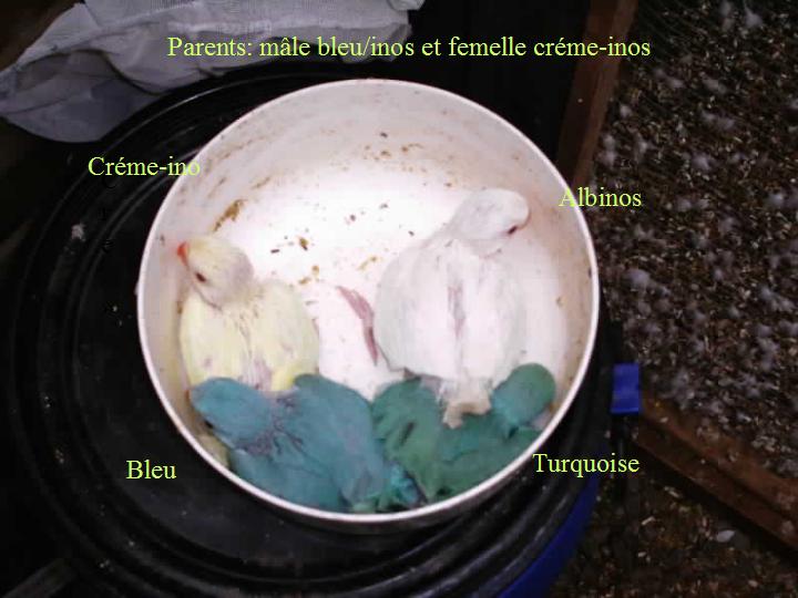 jeune couple 2.jpg