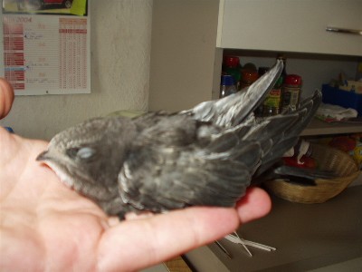 bb 002.jpg