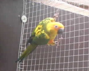 Soleil01.jpg