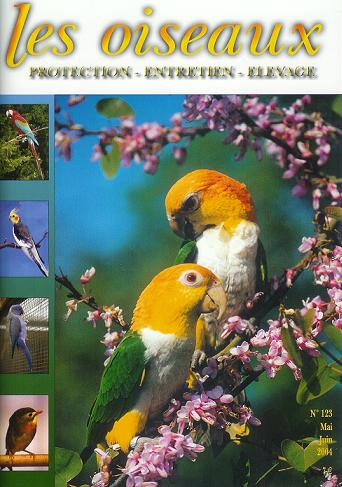 Les Oiseaux.JPG