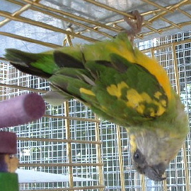 DSCF0008.JPG