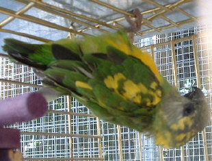 DSCF0007.JPG