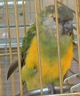 DSCF0006.JPG