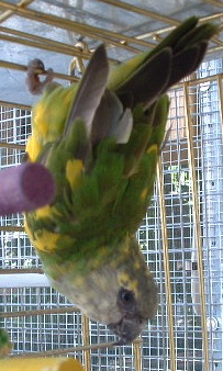 DSCF0011.JPG