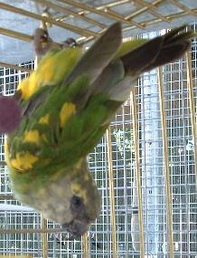 DSCF0009.JPG