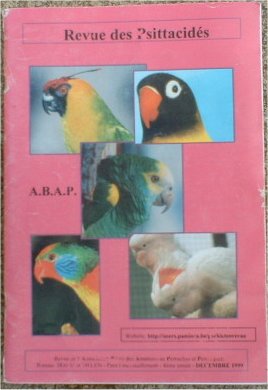 revue ABAP.jpg