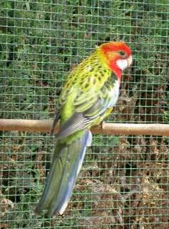 Resize of 2004-06-20_0016.JPG