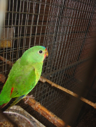 133-3340_IMG.JPG