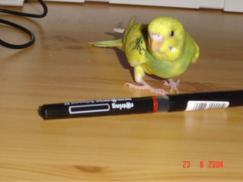 ma nouvelle eam.jpg