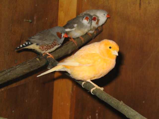 100_0070.JPG